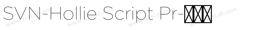 SVN-Hollie Script Pr字体转换